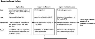 Enhancing the predictability of ecology in a changing world: A call for an organism-based approach